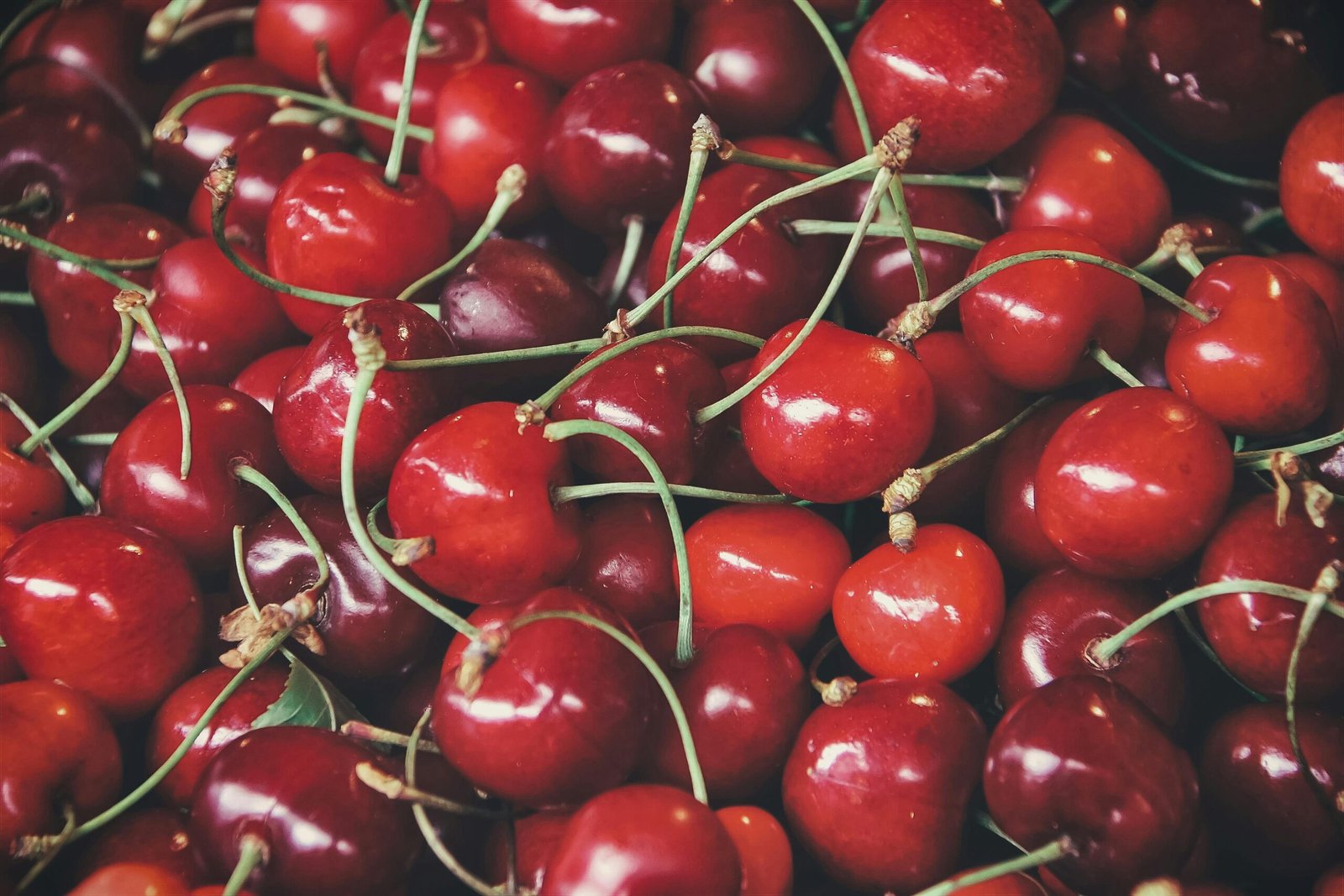 pexels photo 966416 966416 A vivid close-up of fresh cherries displaying their natural shine and rich red colors.